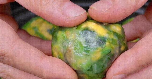 菠菜鸡蛋包子5分钟出锅，低卡营养又防感冒，你敢信？