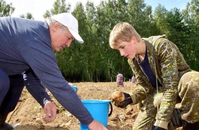 卢卡申科带土豆访华的深意与情怀 外交中的务实之举
