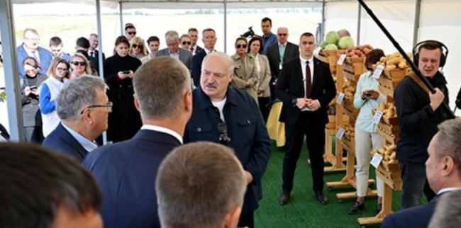 卢卡申科带土豆访华的深意 农业合作新契机