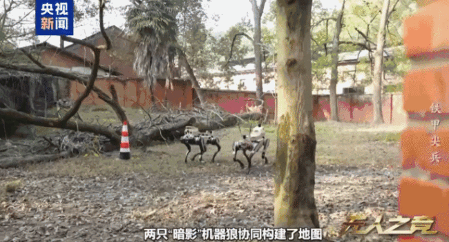 中国机器狼群巷战画面首次公开：“暗影”“浴血”“极地”集结！展现硬核实力