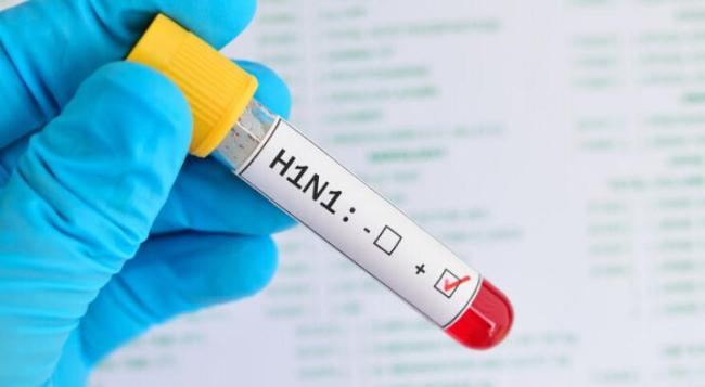 俄全境地区均现甲型H1N1流感