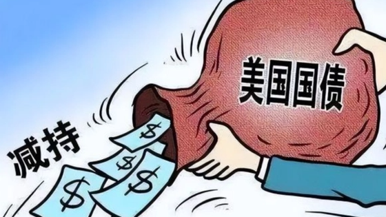 图源网络