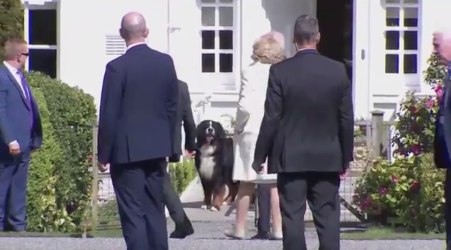 美媒：拜登和爱尔兰总统在后者住所附近散步，其爱犬见到拜登就叫