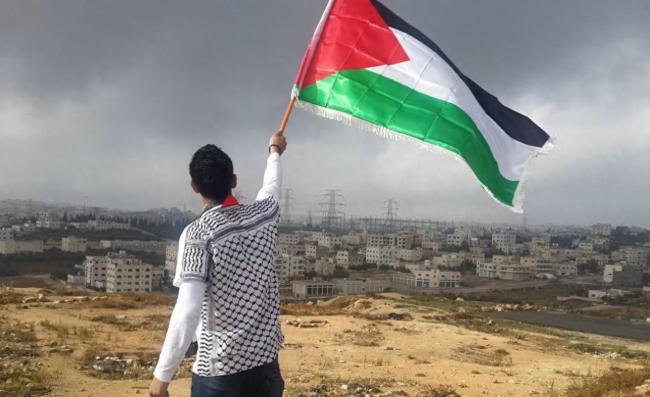 以色列巴勒斯坦国旗图片