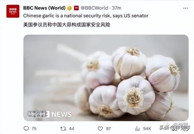美国参议员指控中国大蒜构成重大国家安全风险
