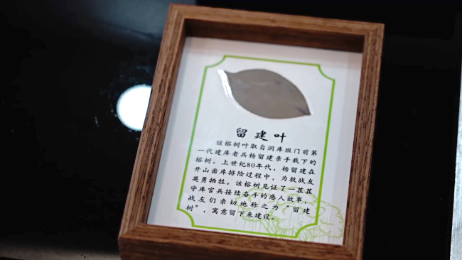 清明寻根山河间