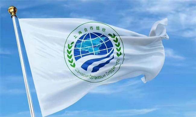印度想做金砖上合老大？专家解读