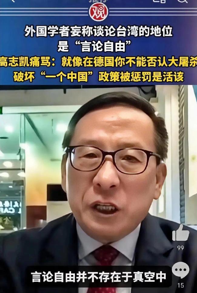 西方学者妄议台湾地位高志凯回击！