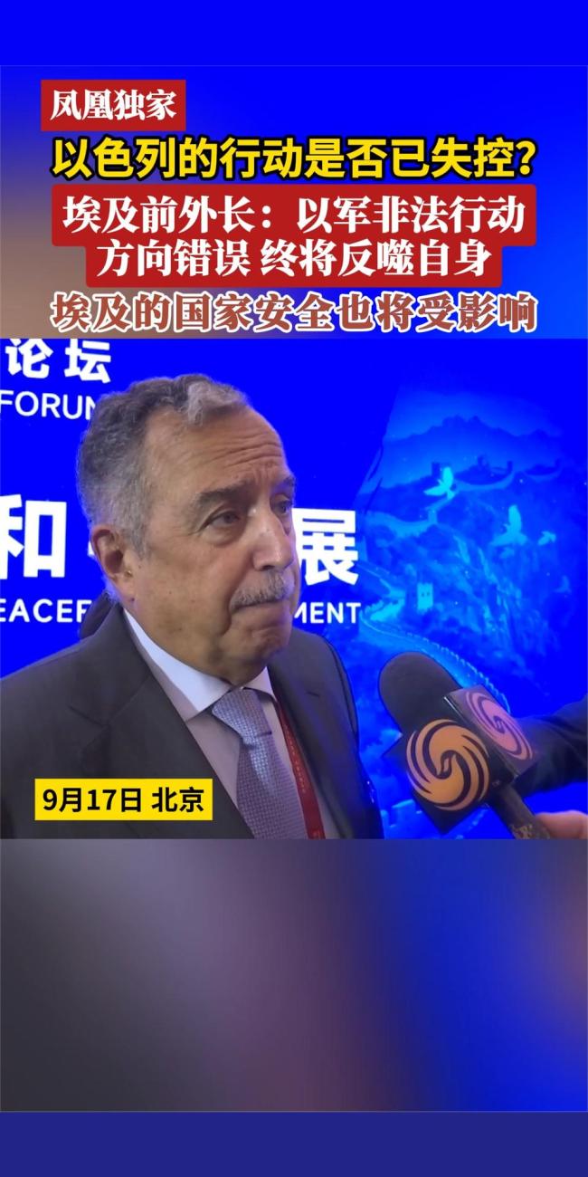 以色列的行动消失了吗？前外国艾格普特部长：