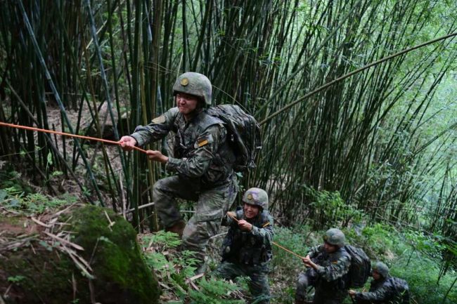 密林深处，连贯特情刺激官兵“战斗神经”！