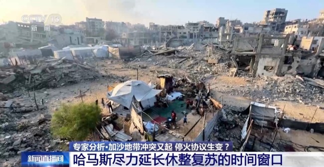 专家分析:加沙冲突又起 停火协议生变?