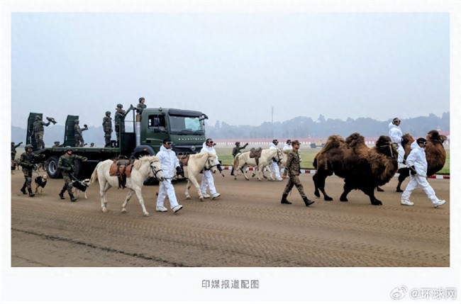直击印度阅兵式 首次引入动物方队！