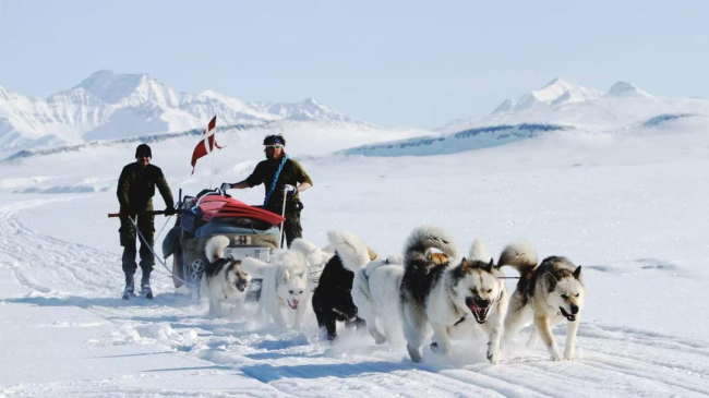 瞧不上“狗拉雪橇”的特朗普，迟早要在北极吃亏