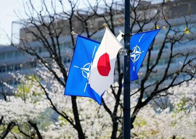 北约勾搭日本，能力不够野心来凑