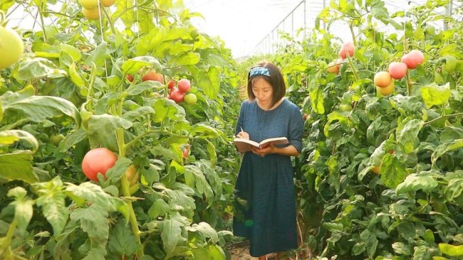 葡萄种植基地的“女掌门”成了创业扶贫的“冠军”