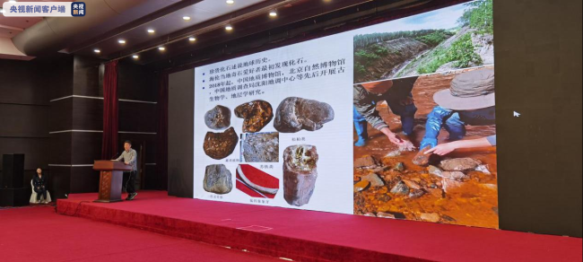 黑龙江海伦大峡谷发现罕见白垩纪生物群化石