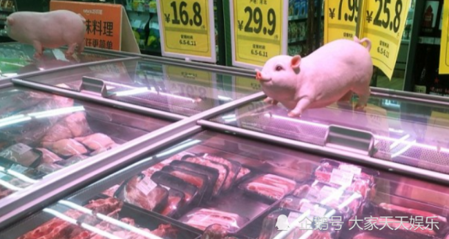 2万吨中央储备冻猪肉在路上，年内累投将达67万吨