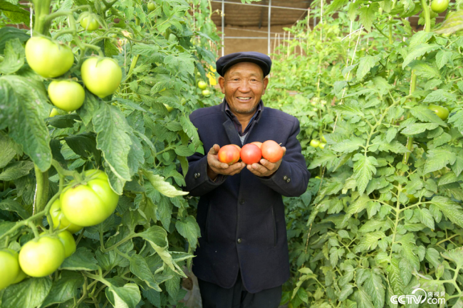甘肃省武威市古浪县富民新村村民李应川从深山搬下来，种起了蔬菜大棚。