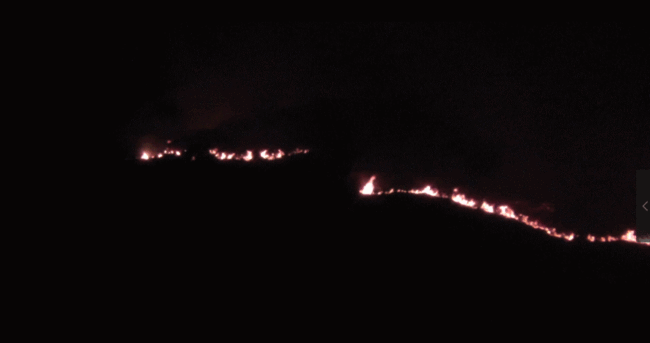 山西左权森林火灾得到初步控制 但部分区域出现复燃