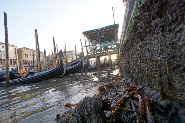 贡多拉船搁浅在淤泥 “水城”威尼斯没水了！