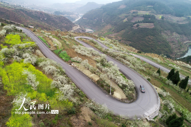 四川泸州：扶贫路 春景美