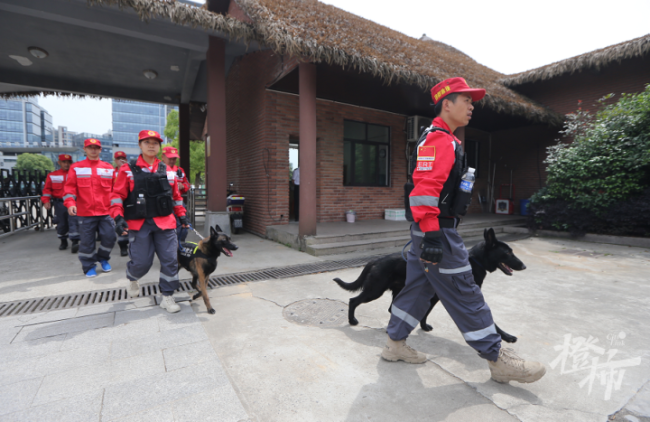 杭州出动“汪汪队”抓豹 无人机在附近区域巡查