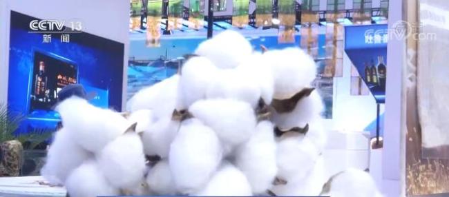 相约消博会 | “送你一朵小棉花”新疆特色产品开拓世界市场