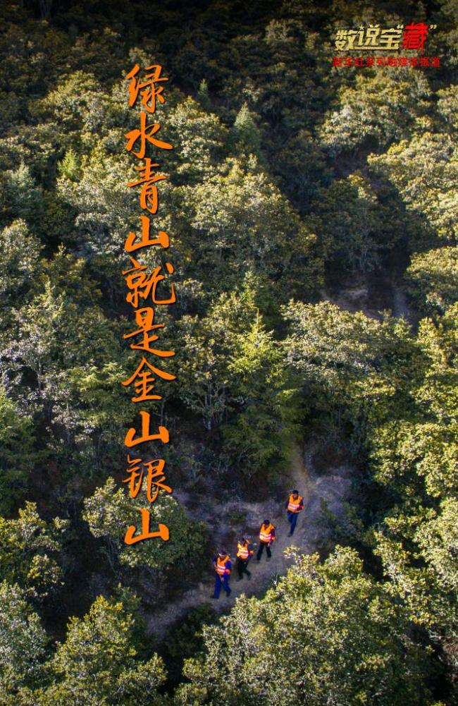 数说宝“藏”·70年巨变｜70万“生态卫士”守护西藏绿水青山
