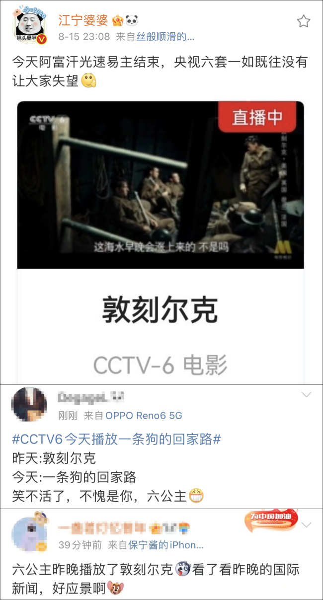 CCTV6今日将播放《一条狗的回家路》 网友：妙啊！