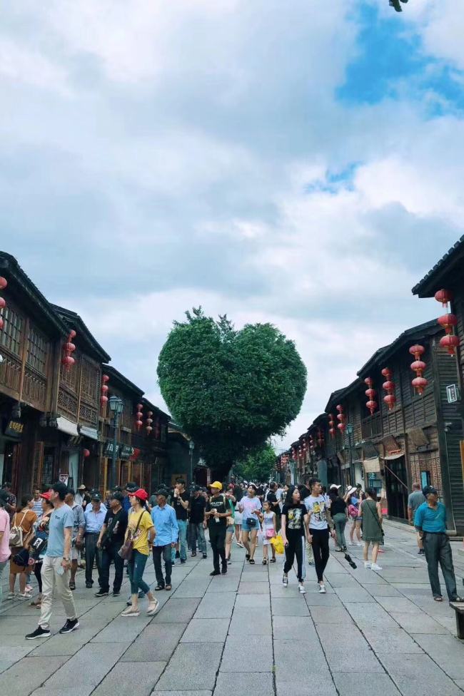 爱你的形状！福州三坊七巷这棵树火了
