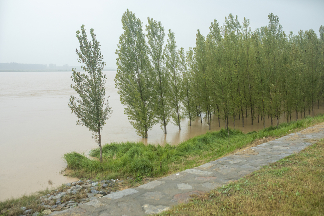 山东滨州：黄河迎来洪峰高水位