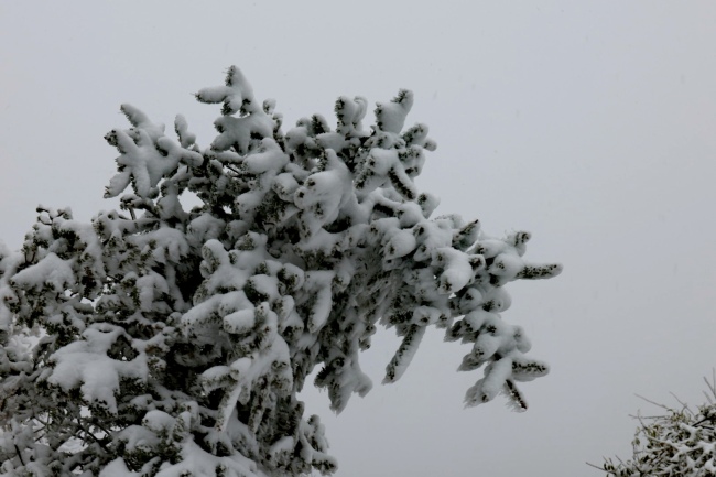 北京迎降雪！雪景与云海同框