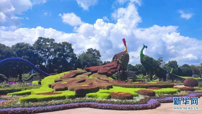 昆明这些网红打卡地获奖