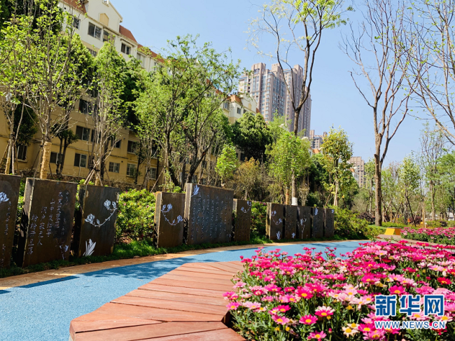 昆明这些网红打卡地获奖