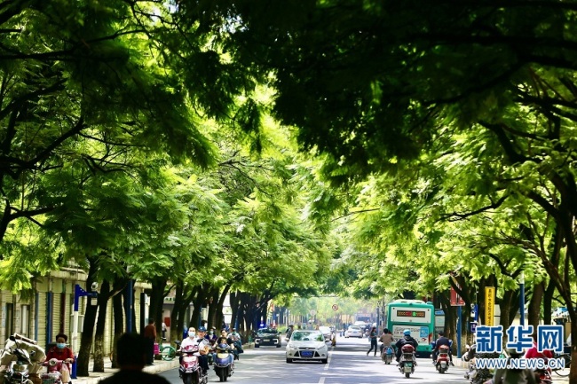 昆明这些网红打卡地获奖