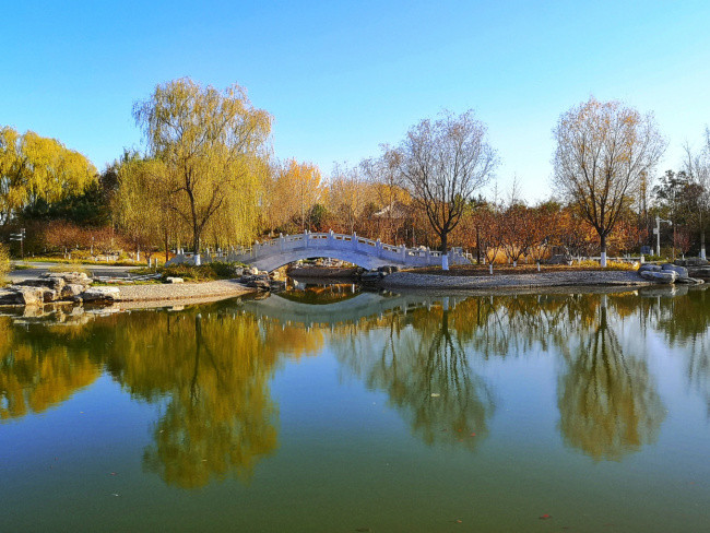 北京世园公园缤纷秋景扮靓最美冬奥城！