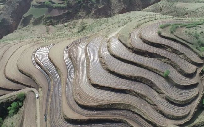 关注国家科技进步奖丨梅旭荣：占耕地近半的旱地农业潜力巨大