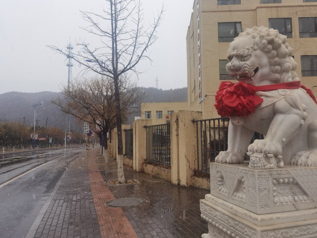 北京第一场雪来了！怀柔雪花已飘洒而下