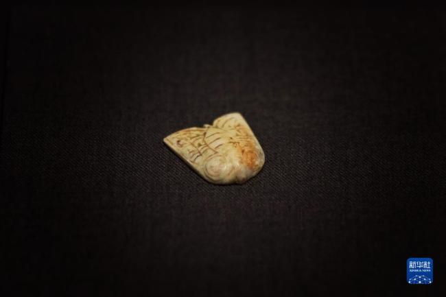 早期良渚考古成果在杭州展出