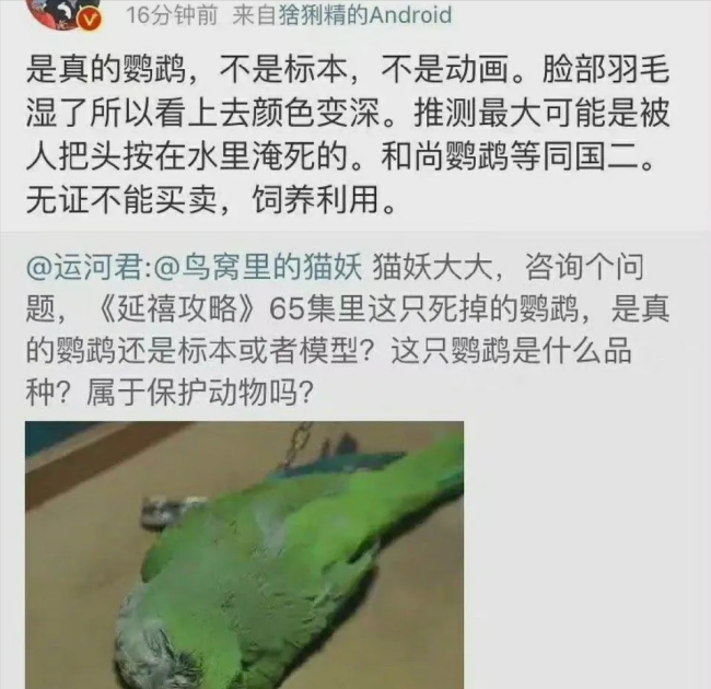 多个影视剧组被质疑虐待动物