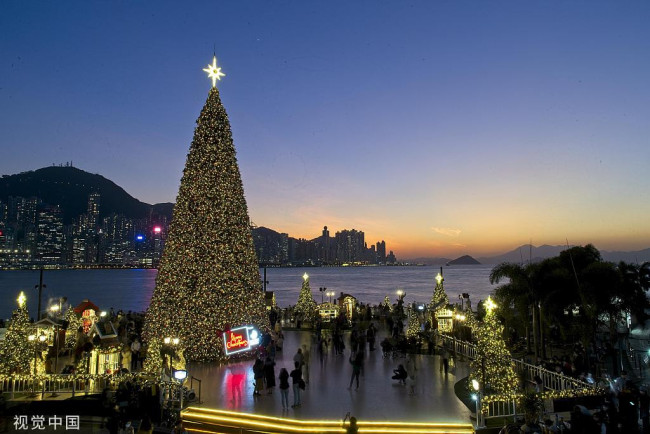 香港：维港6层楼高巨型圣诞树亮相