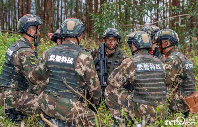 武警官兵实战化训练锤炼过硬本领