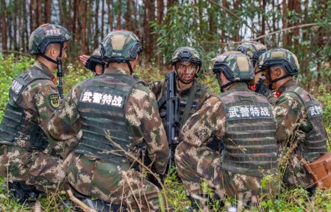 密林追“兇”來(lái)看武警官兵實(shí)戰(zhàn)演練有多猛