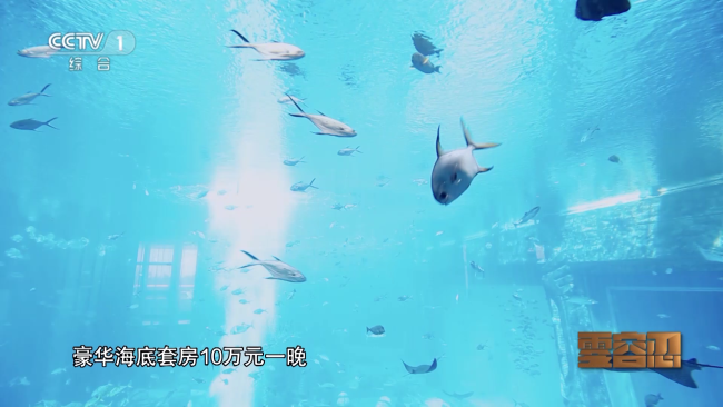 “95后”将7000万贪污款挥霍一空:为3位女友购奢侈品 住10万一晚豪华酒店