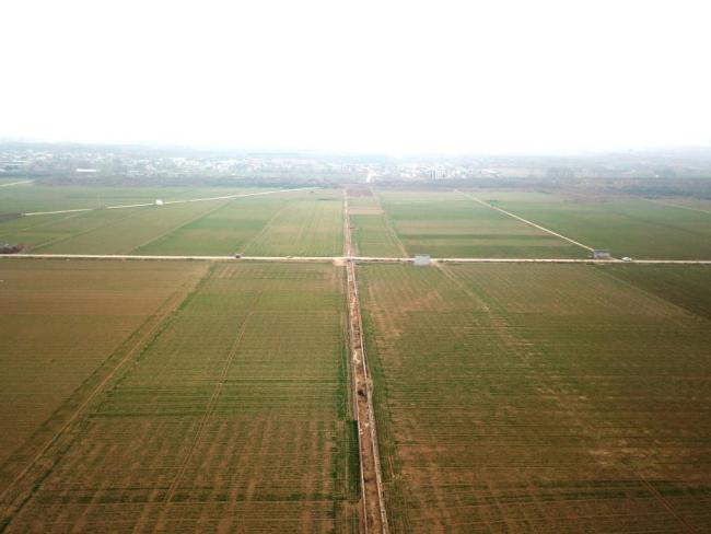 河南洛阳金村东周王陵考古启动