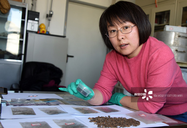 2022年3月1日，论文第一作者张乐在北京接受专访，展示介绍这次研究的1.2万年前鹿牙遗存。