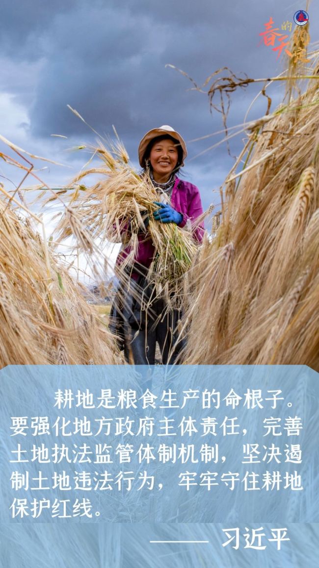 海报 | 春天的约定