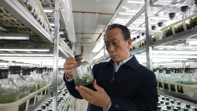 【我向总书记“晒”家常】带着农民工兄弟，回老家去