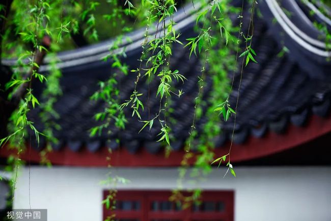 今天，很重要！