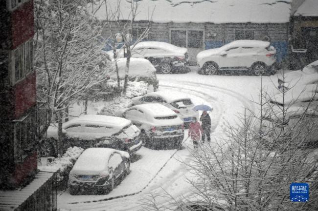 北京三月迎春雪